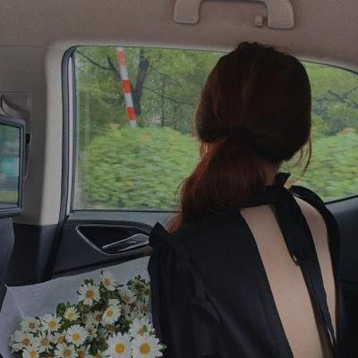 菩提树